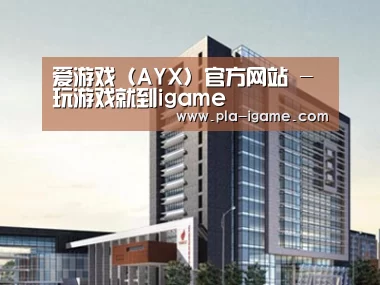 案例展示七