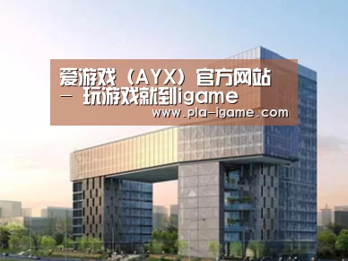 案例展示四